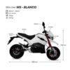 Moto Deportiva Electrica M5 Ebiker