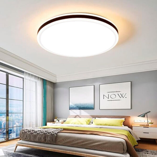 LÁMPARA DE TECHO VALENTINA 30W + CONTROL REMOTO