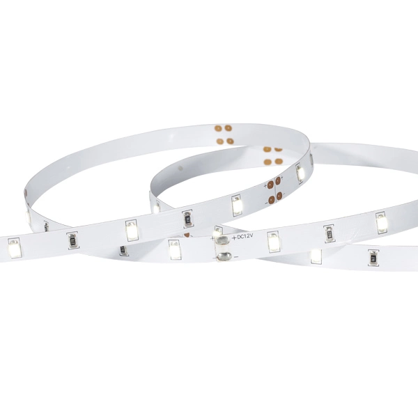 Cinta de la serie económica BS-2835